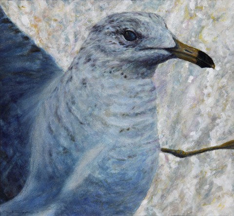 "Startled Gull", 2011, Watercolor and Acrylics on Paper (Lanaquarelle 140 lb. Cold Pressed), 10 5/8 x 11 1/2 in., by David Jay Spyker