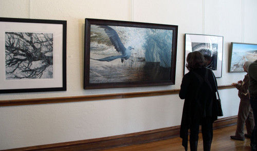 Sudden Flight at Carnegie Center for the Arts, Three Rivers, MI