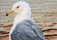 "Self-Portrait in the Morning as a Gull", 2012, Acrylic on Hardboard, 5 x 7 in., by David Jay Spyker